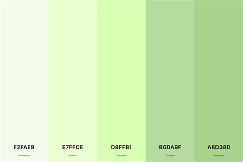 35+ Best Green Color Palettes with Names and Hex Codes – CreativeBooster