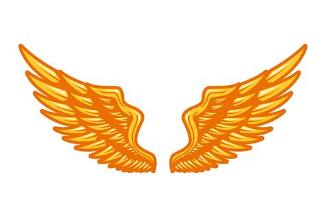 gold wings vector illustration 20542691 Vector Art at Vecteezy