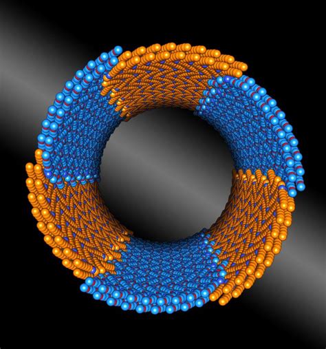 Scientists discover another design principle for building nanostructures