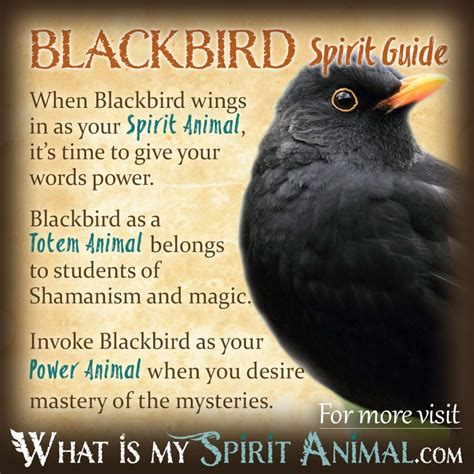 Blackbird Symbolism & Meaning | Blackbird Spirit, Totem & Power Animal | Organic Articles