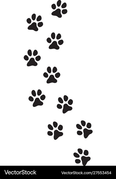 Dog paw prints track Royalty Free Vector Image