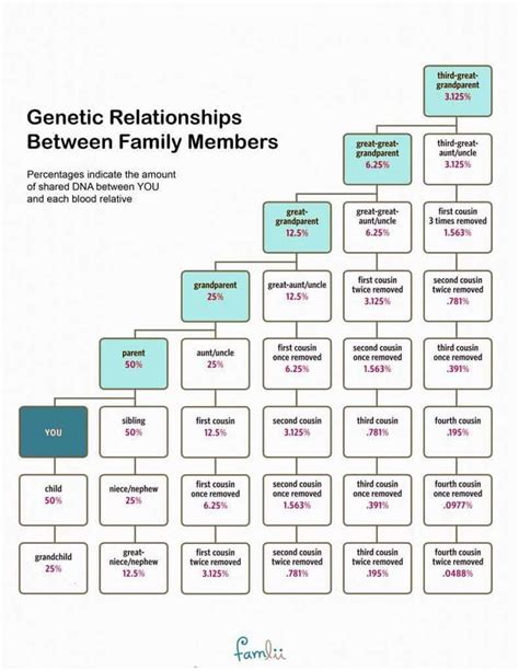 How Much DNA Do Family Members Share? (With Cousin Relationship Chart) - Famlii | Family tree ...