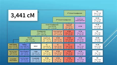 Understanding Your Relationship to DNA Matches After Autosomal Testing - YouTube