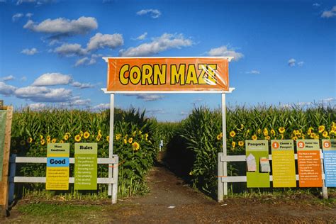 Edmonton Corn Maze 2021 (Tickets) Know About The Fun!