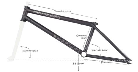 Why Body Head Tube Angle Issues? – Todays Cycling World