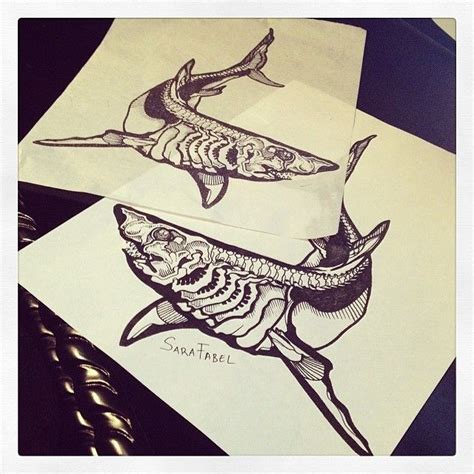 Shark Skeleton Drawing