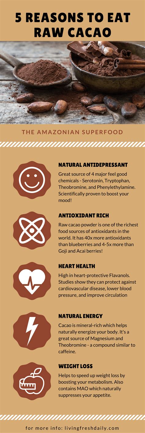 Raw Cacao Benefits | 5 Reasons You Need To Be Eating This Superfood - Living Fresh Daily Cacao ...