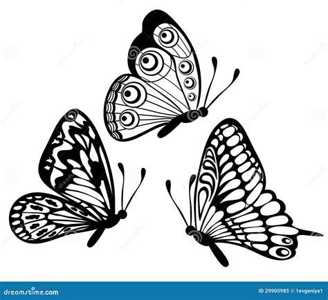 Set Of Black And White Butterfly Stock Vector - Illustration: 29905985