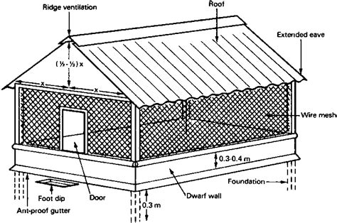 Poultry House Plans for Your Backyard Farm