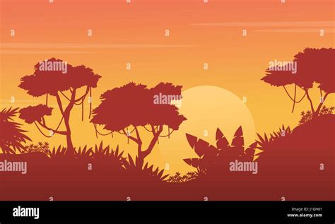 Beauty landscape jungle at sunset silhouette Stock Vector Image & Art - Alamy