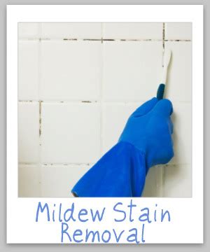 Mildew Stain Removal Guide