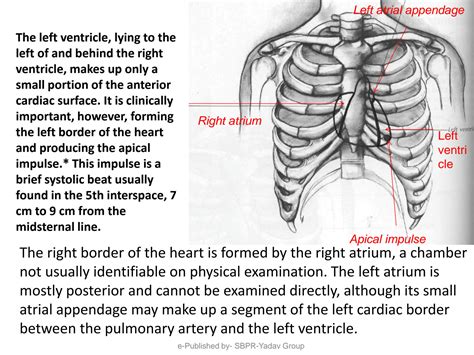 SOLUTION: Heart heart vessels apex beat and percussion and auscultation ...