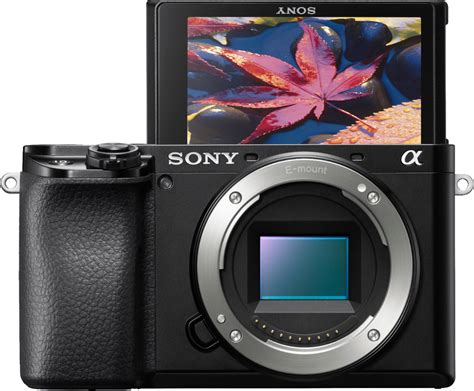 Sony Alpha 6100 Mirrorless Camera (Body Only) Black ILCE6100/B - Best Buy