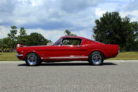 1966 Ford Mustang | American Muscle CarZ