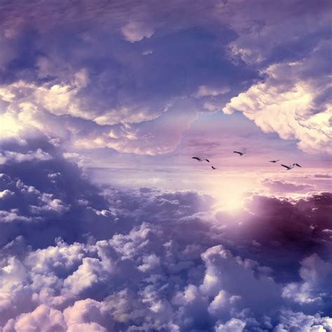 Download Flying Bird Cloud Sky Earth Nature PFP