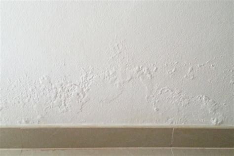 How To Treat Damp Walls | A Complete Guide | Advanced Damp