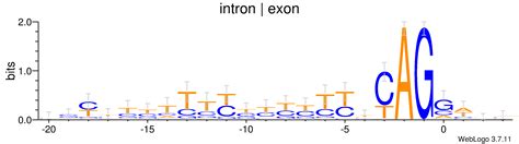 WebLogo 3 - Examples