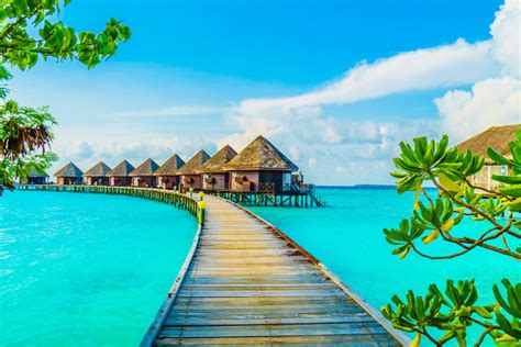 Why You Want To Visit The Maldives - Travel Ideas