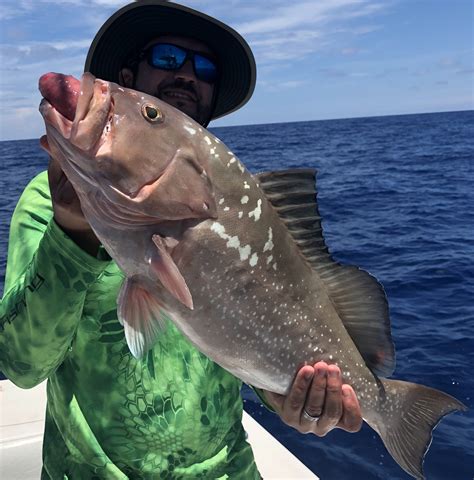 Grouper Fishing | Clearwater Beach FL | FishEye Sportfishing