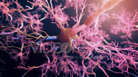 Real Neuron synapse network 3D animation. Flight through brain nervous ...