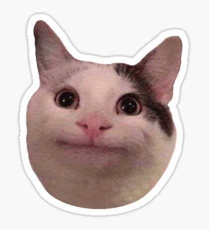 Pegatinas | Cat stickers, Meme stickers, Aesthetic stickers