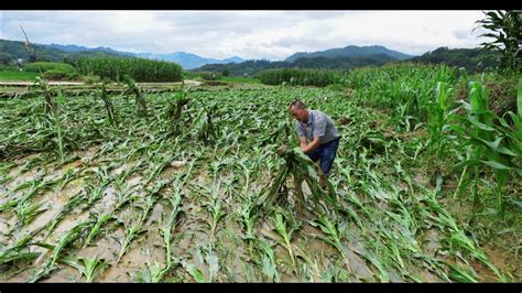 Ice Age Farmer: You Won’t hear this on the news! — Nations unable to feed themselves ...