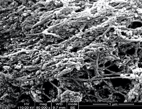 Double-Walled Carbon Nanotubes - Carbon Nanotubes - Materials - Carbon Series