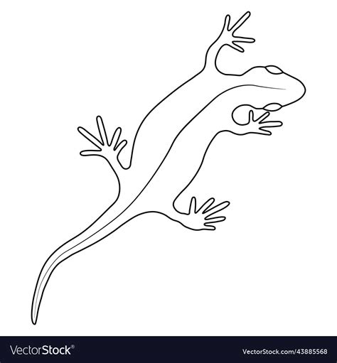 Lizard reptile gecko outline simple line art Vector Image