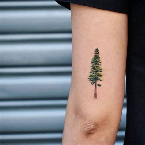 50 Gorgeous and Meaningful Tree Tattoos Inspired by Nature's Path - KickAss Things