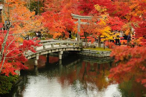 Is Kyoto Expensive to Visit? | Budget Your Trip