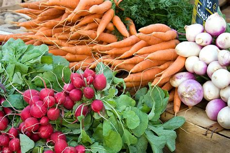 Vegetables for Fall Harvest -- Harvest to Table