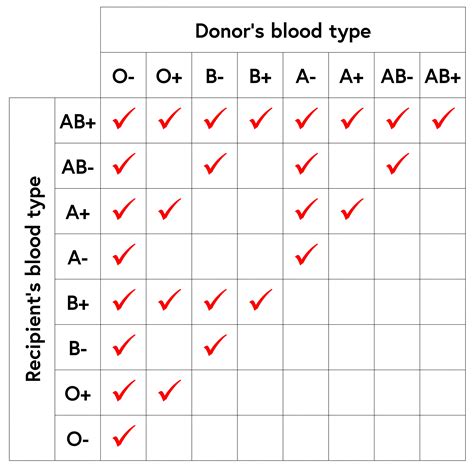 Can a person with blood group O Rh ve donate blood to a patient with blood group O Rh ve Why?