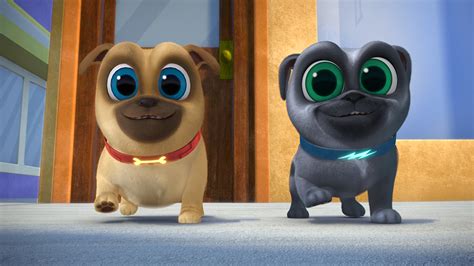 Meet the Puppy Dog Pals Characters - UK Mums TV