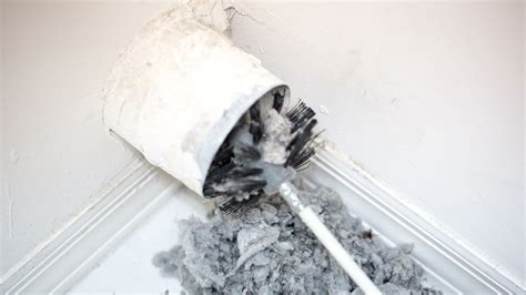 The Importance Of Dryer Vent Cleaning - Planet Adelpha