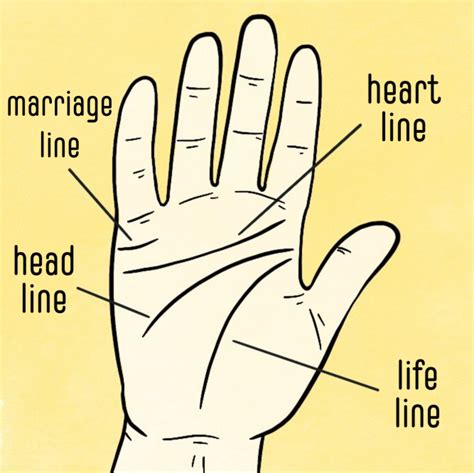 Palm Reading Marriage Line