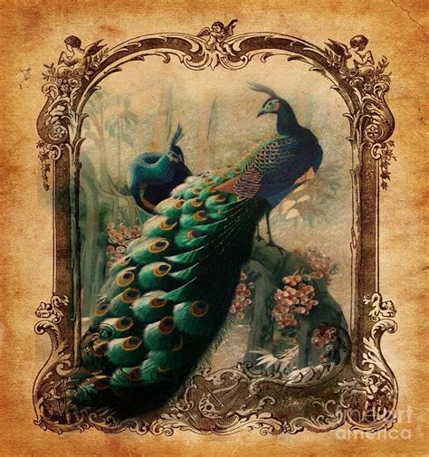 Vintage French Botanical Art Peacock Mixed Media by Cranberry Sky