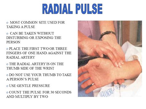 radial pulse - Phlebotomy Career Training