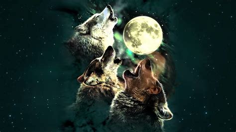 Wolf Howling At The Moon Wallpaper (66+ images)