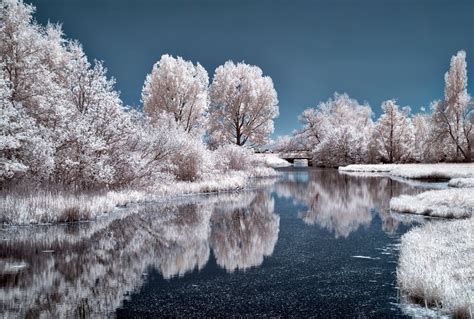 Nature Photography Of Snow Trees Pictures, Photos, and Images for Facebook, Tumblr, Pinterest ...