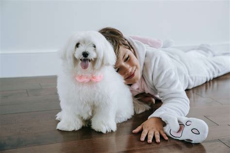 Best Pets For Kids: 13 Low-Maintenance Pets | PetsPyjamas