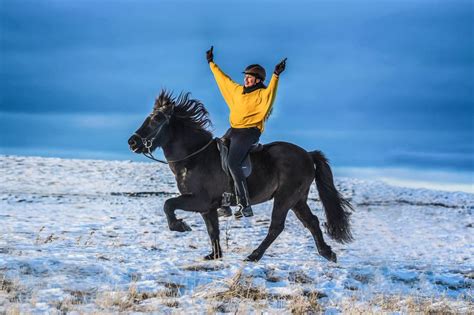 The Best Horse Riding Destinations in Iceland - BookHorseRidingHolidays.com