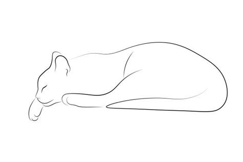 How To Draw A Simple Cat Lying Down