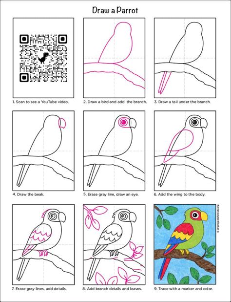 Parrot Drawing Step By Step