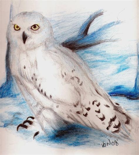 Simple Snowy Owl Drawing