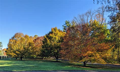 Autumn Colors Around My Farm - The Martha Stewart Blog