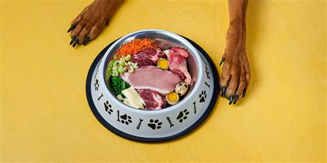 Raw Food Diet for Dogs: the Nutritional Gold Standard - Milwaukee Paws Pet Care