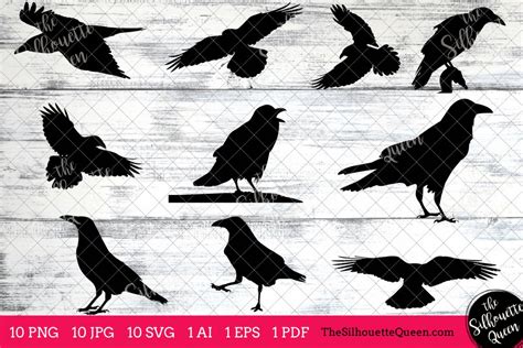 Raven Silhouette Clipart Clip Art(AI, EPS, SVGs, JPGs, PNGs, PDF), Raven Clip Art Clipart ...