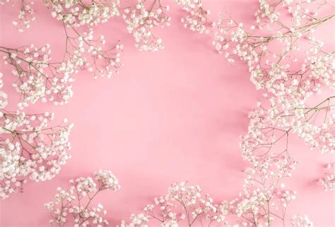 Laeacco Pink Flowers Petal Spring Baby Newborn Baby Shower Portrait Photo Backgrounds ...