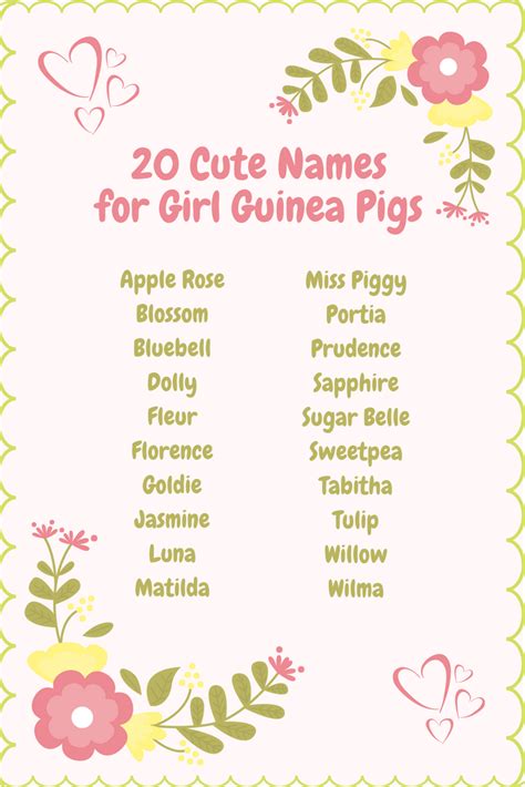 Over 450 Guinea Pig Names | Cute Names for Boys, Girls & Pairs | Guinea pigs, Cute guinea pigs ...