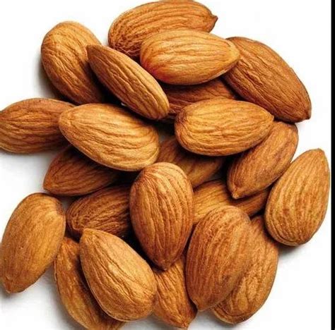 Almond Seed - Wholesale Price & Mandi Rate for Almond Seed in India